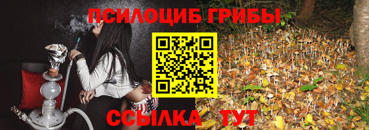 Фролово  Галлюциногенные грибы ЛСД  купить наркотики сайты  Галлюциногенные грибы мицелий  Вход с VPN 